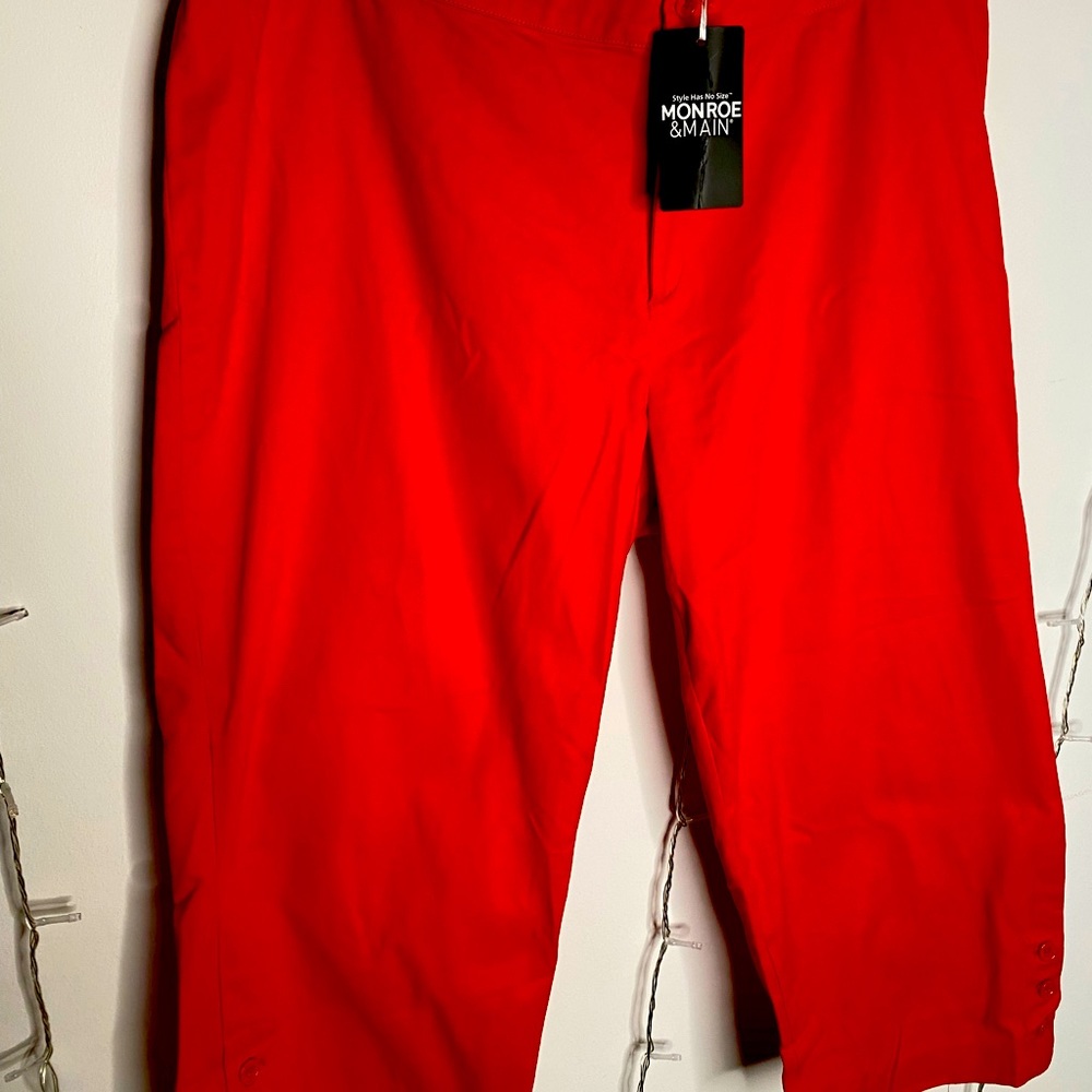 Capris - Picture 4 of 7